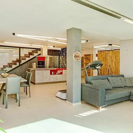 Daire Harmony Level Floor Santidad